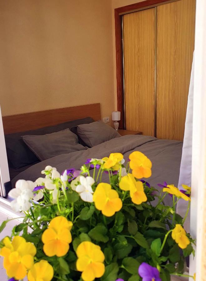 Isamar Apartamento Playa Del Cura Торрев'єха Екстер'єр фото